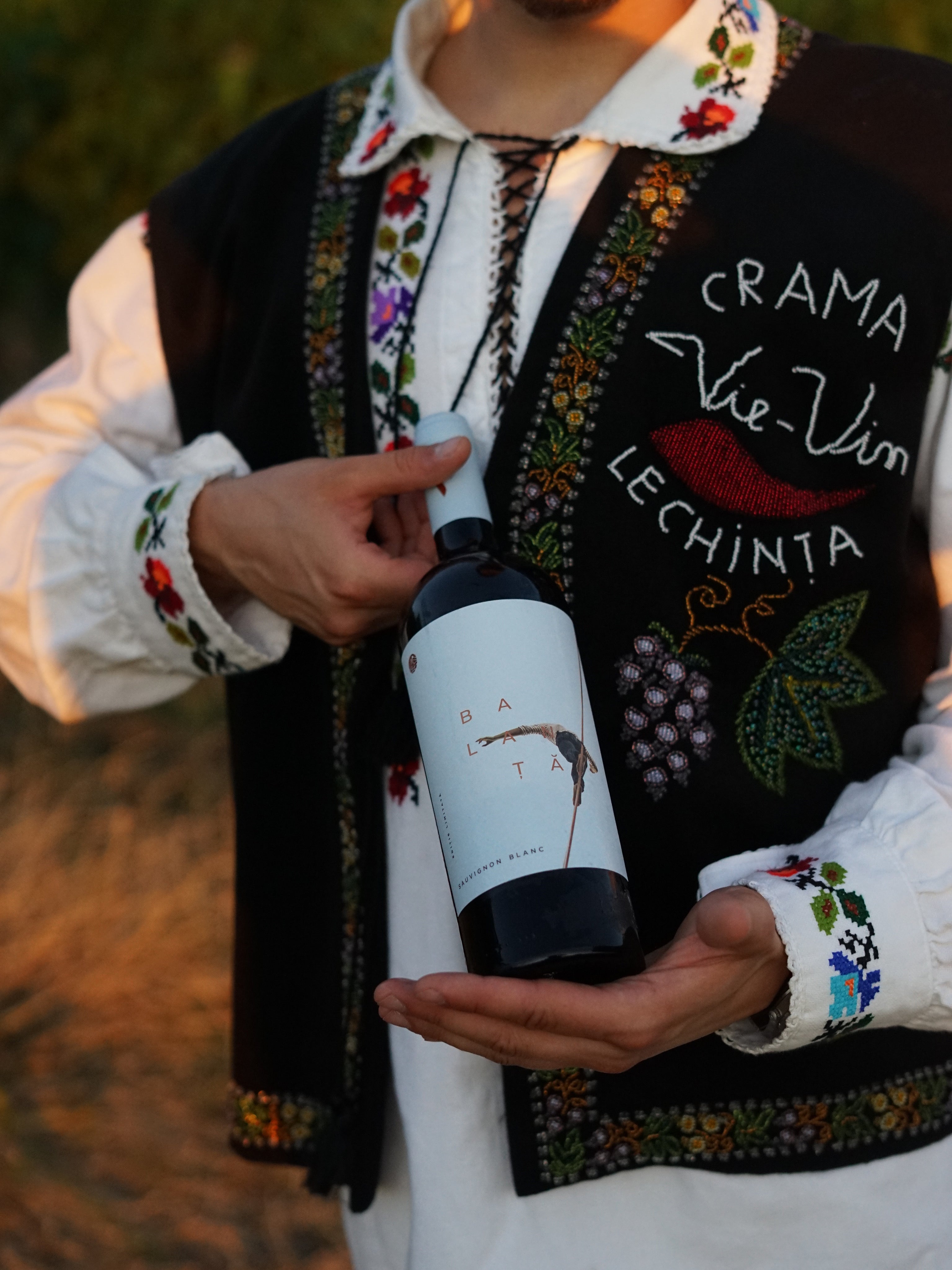 Vin Sauvignon Blanc 2023: Caracteristici și arome distincte explicate