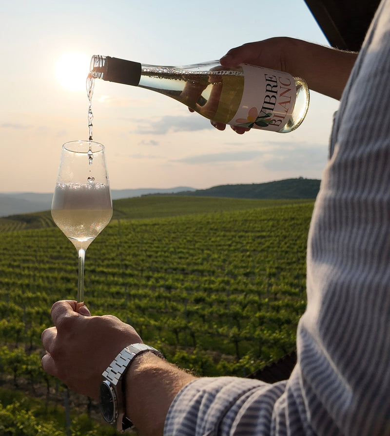 Vin petiant sec Vibre Blanc: Caracteristici și beneficii esențiale