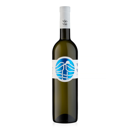 TERROIR DE LECHINTA, FETEASCĂ ALBĂ – DEMISEC, 0.75L