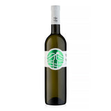 TERROIR DE LECHINTA, SAUVIGNON BLANC 2025 – SEC, 0.75L