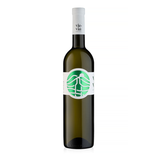 TERROIR SAUVIGNON BLANC 2025