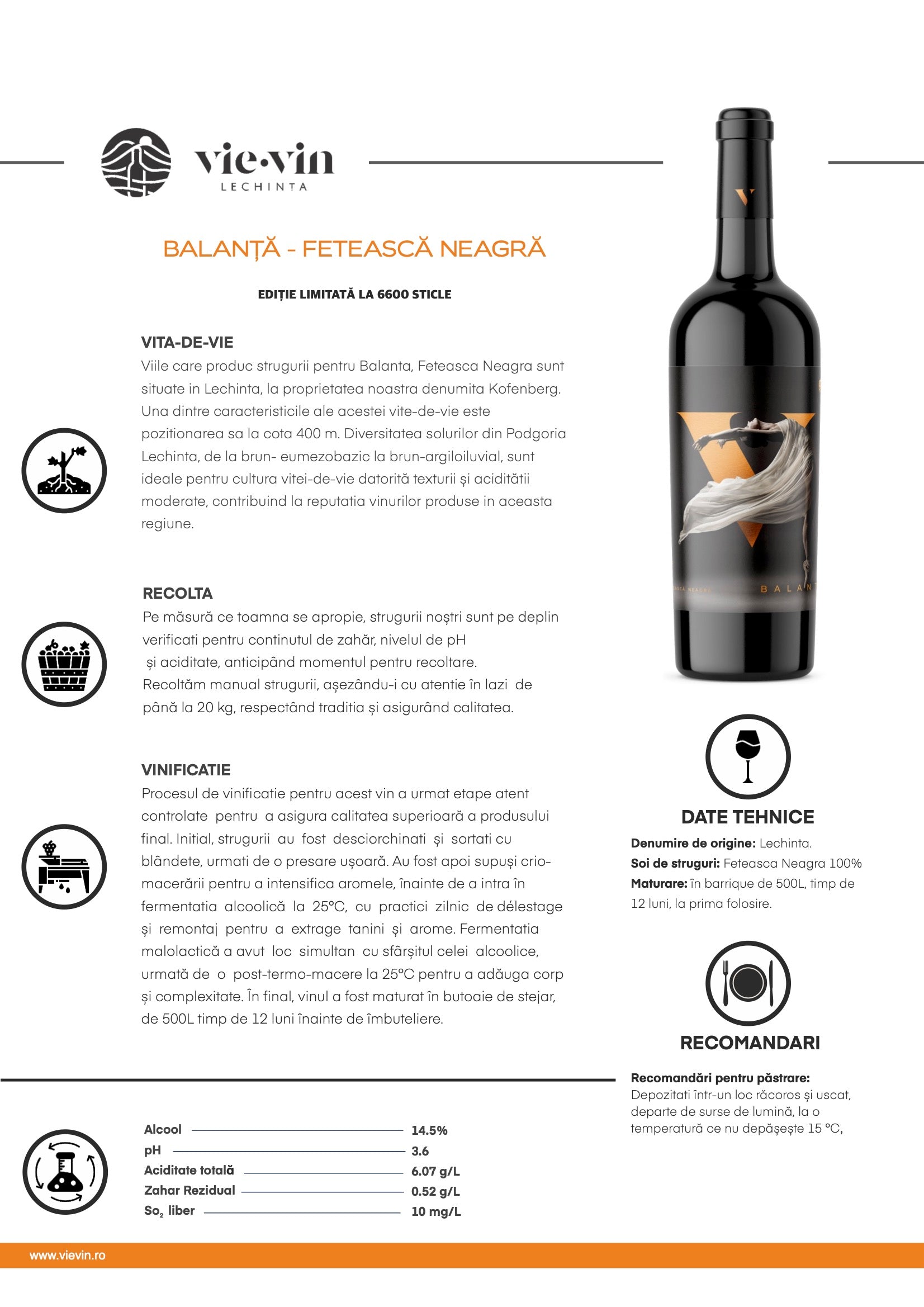 BALANŢĂ RESERVA FETEASCĂ NEAGRĂ – SEC - Vie Vin Lechinta