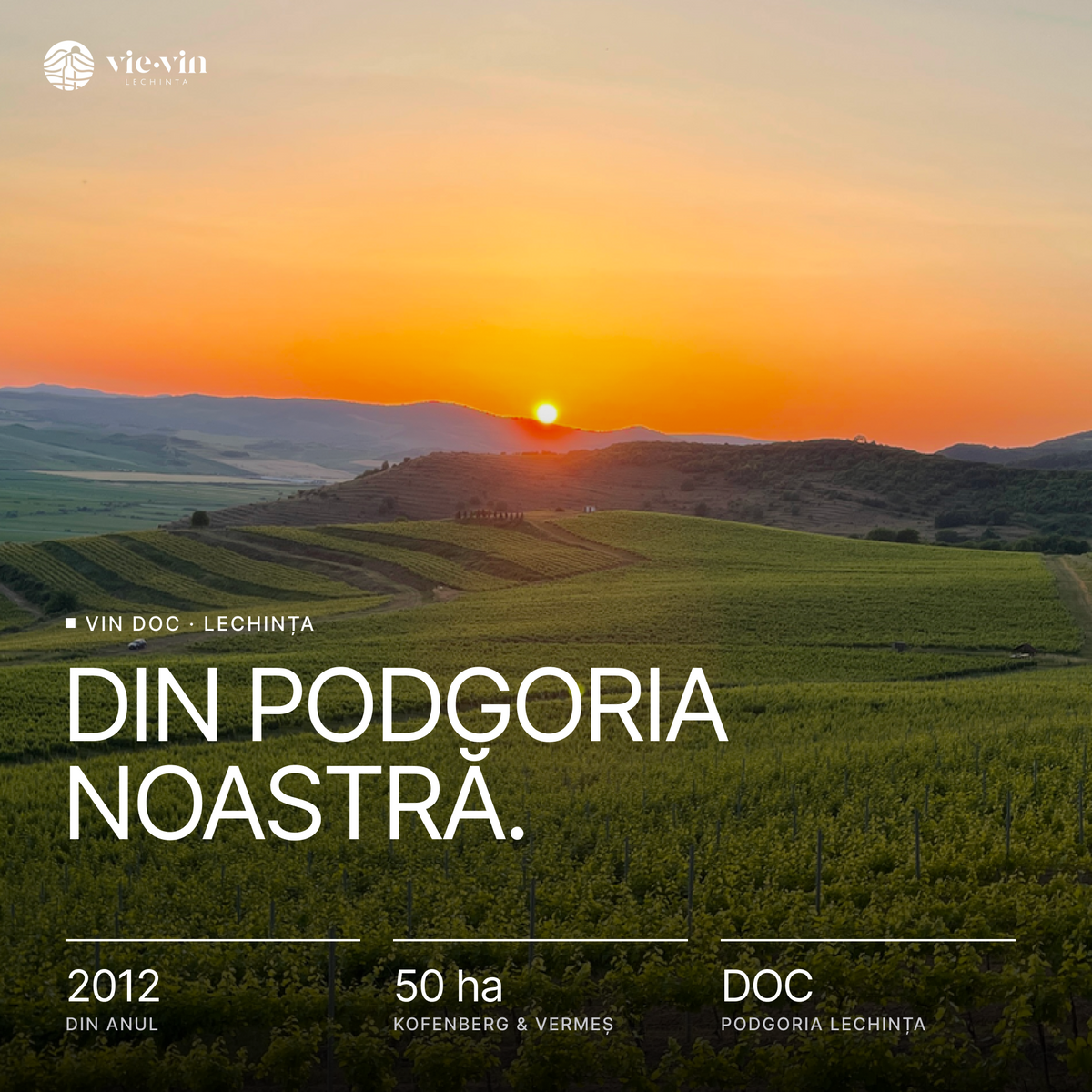 Vin DOC din podgoria Lechința